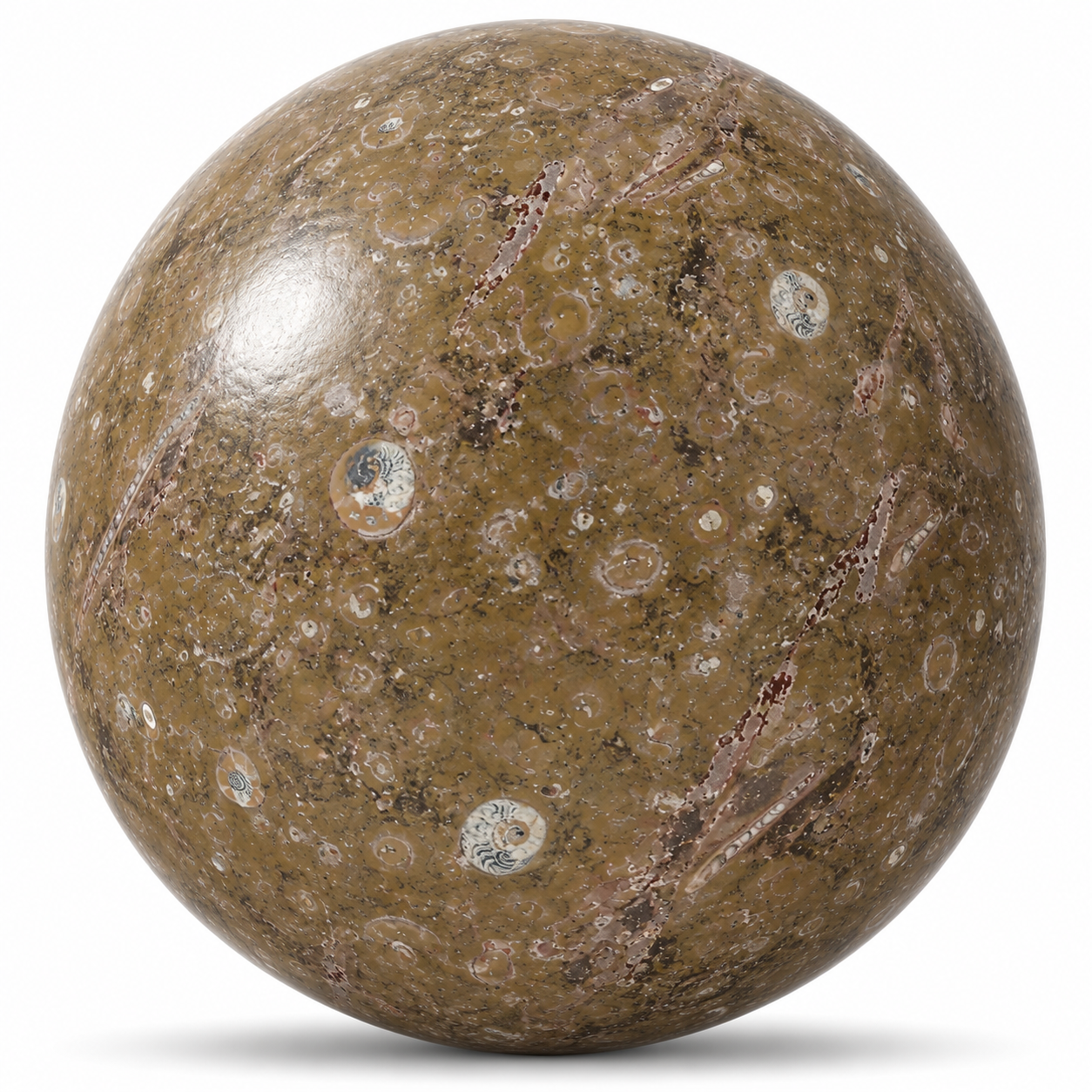Olive Fossil Marble Texture 1