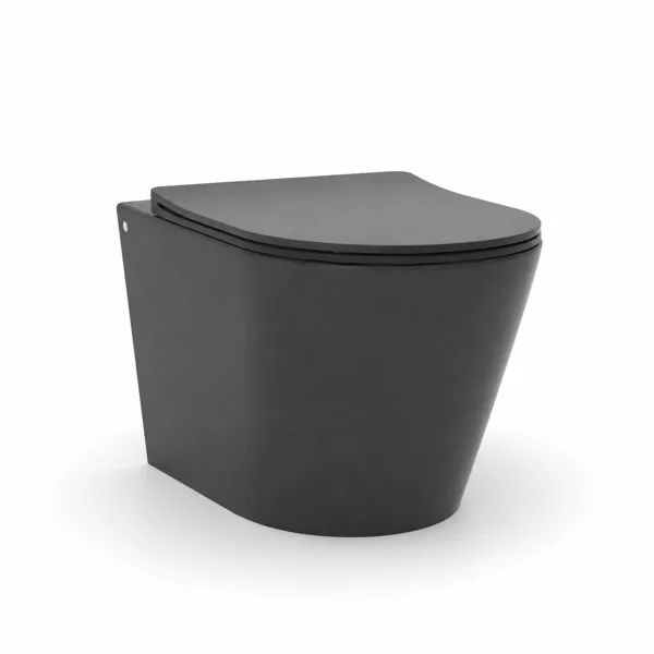 Toilet And Bidet No. 00005