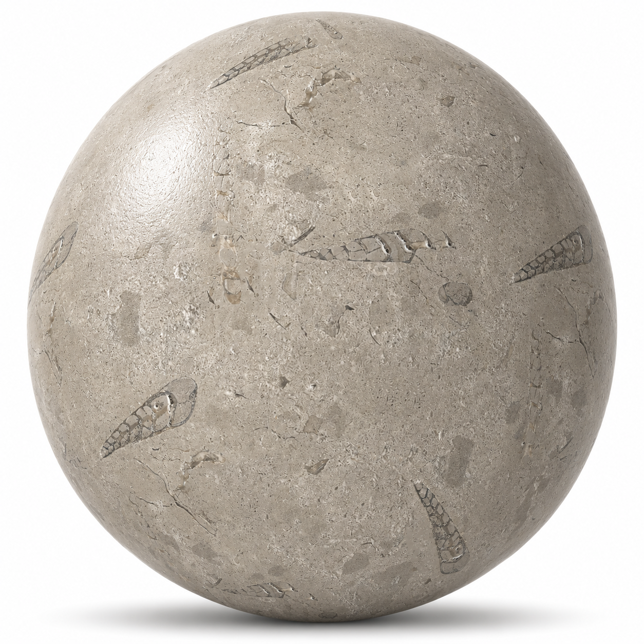 Fossil Limestone Marble Texture 1