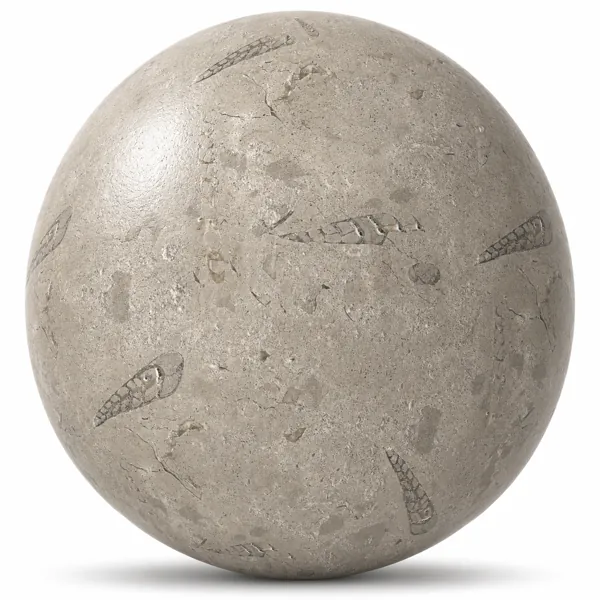 Fossil Limestone Marble Texture