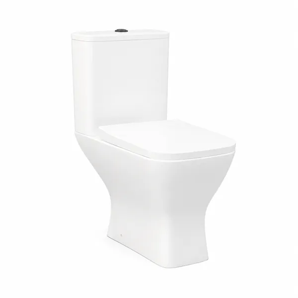 Toilet And Bidet No. 00007