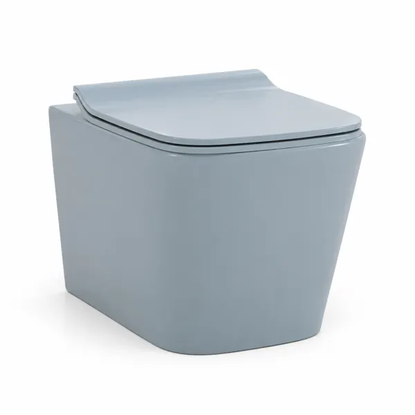 Toilet And Bidet No. 00001